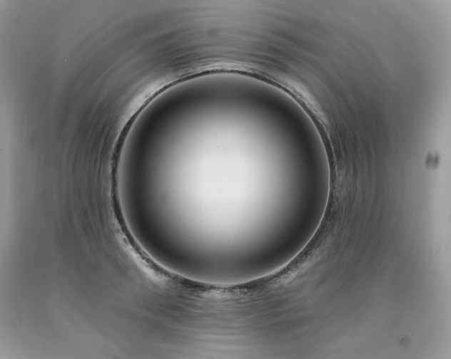 X0000094170898200710261106