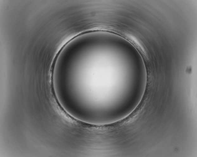 X0000094170900200710261106