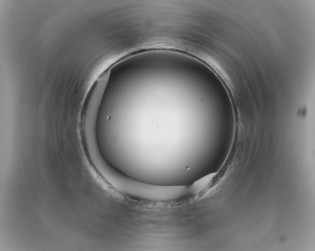X0000094170901200710261106