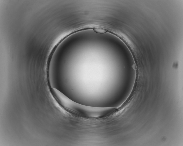 X0000094170902200710261106