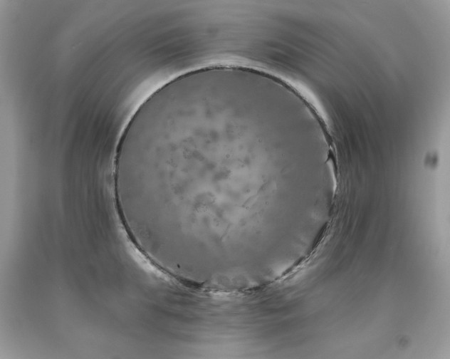 X0000094170903200710261106