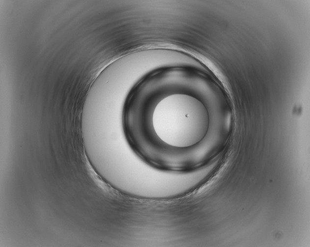 X0000094170905200710261106
