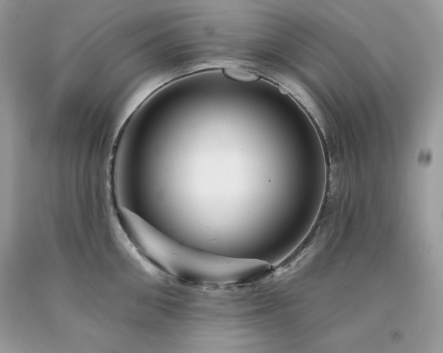 X0000094170906200710261106