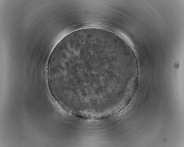 X0000094170907200710261106