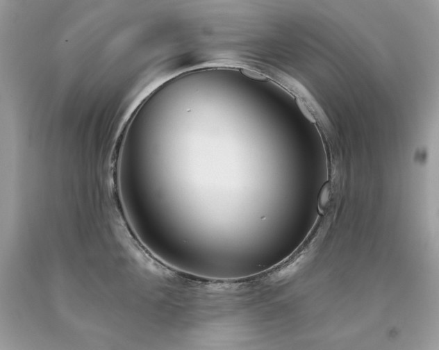 X0000094170908200710261106