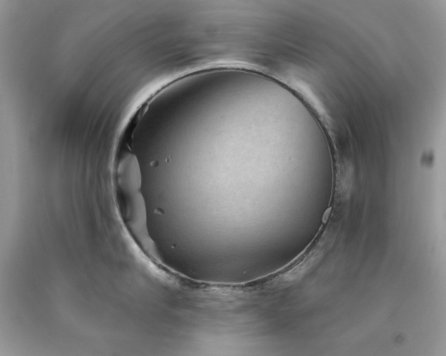 X0000094170910200710261106