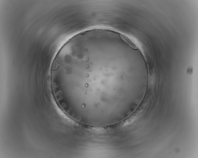 X0000094170911200710261106