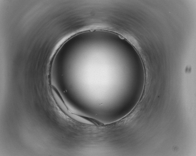 X0000094170912200710261106