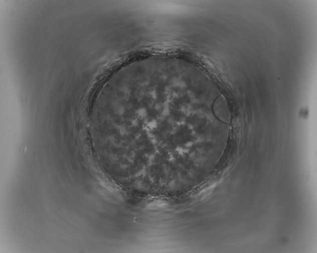 X0000094170913200710261105