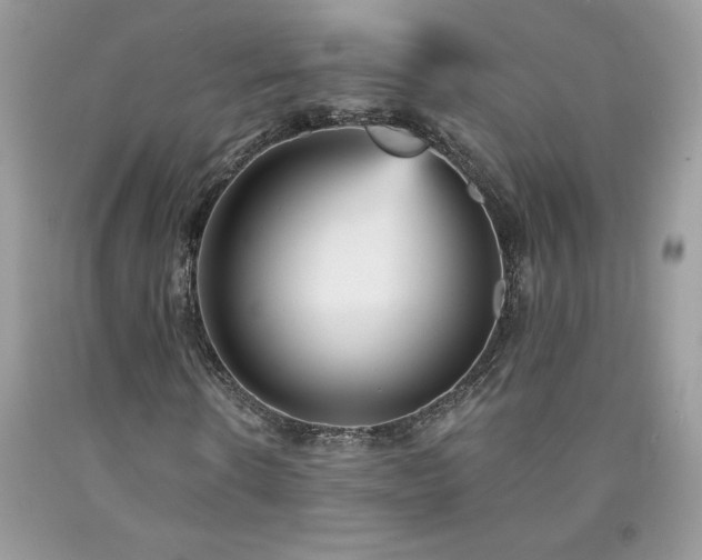 X0000094170914200710261105