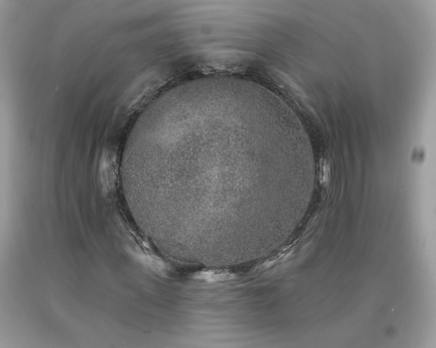 X0000094170915200710261105