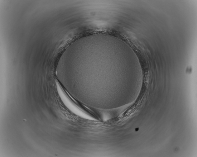X0000094170916200710261105