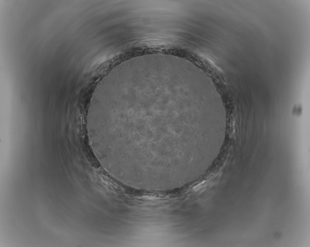 X0000094170917200710261105