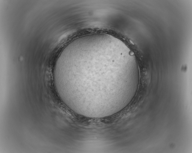 X0000094170918200710261105