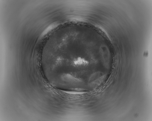 X0000094170919200710261105