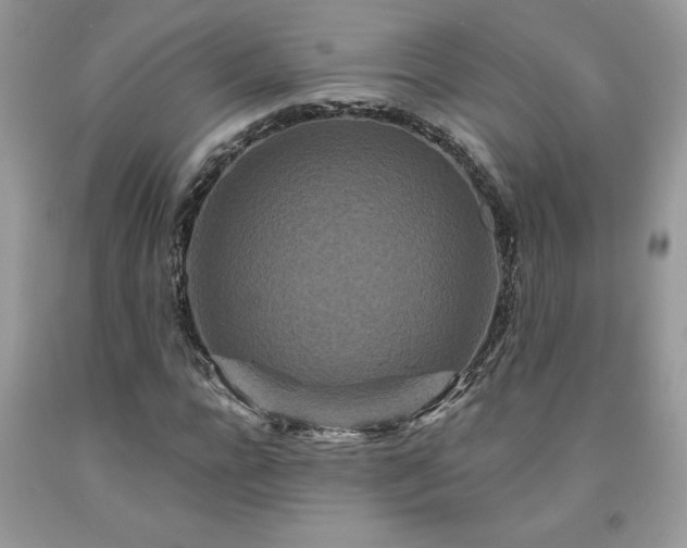 X0000094170920200710261105