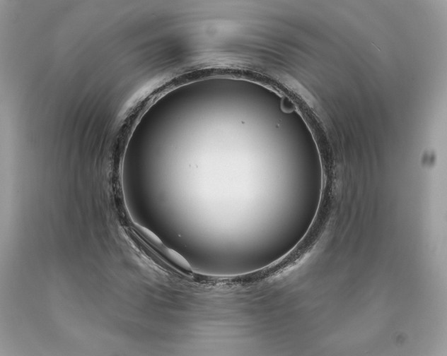 X0000094170922200710261105