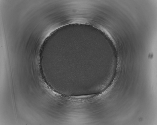 X0000094170923200710261105