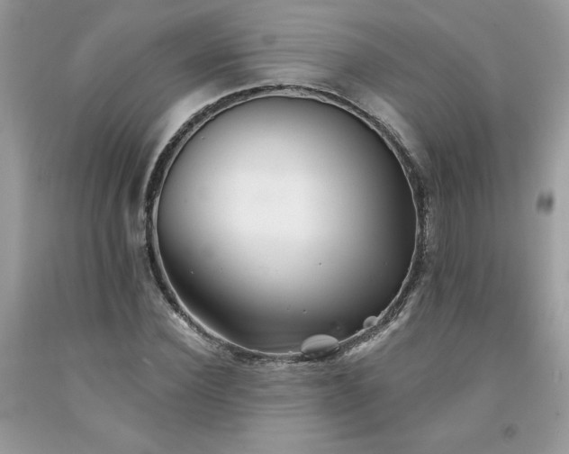 X0000094170924200710261105