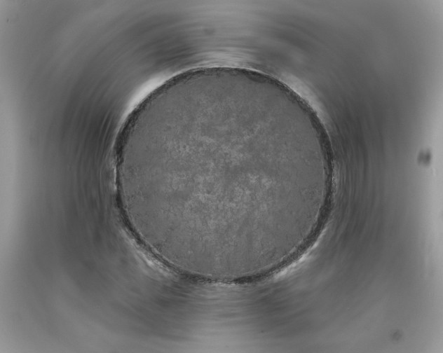 X0000094170925200710261105