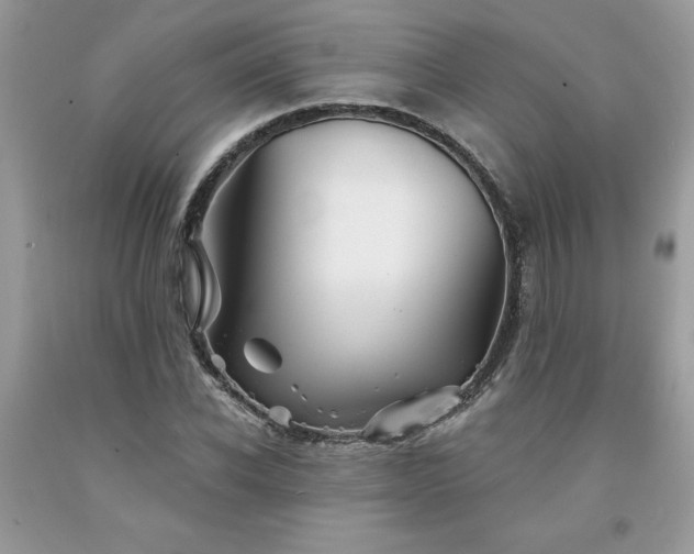 X0000094170926200710261105