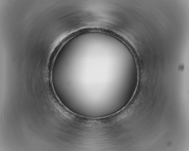 X0000094170927200710261105