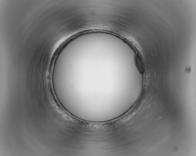 X0000094170928200710261105