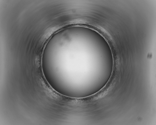 X0000094170929200710261105