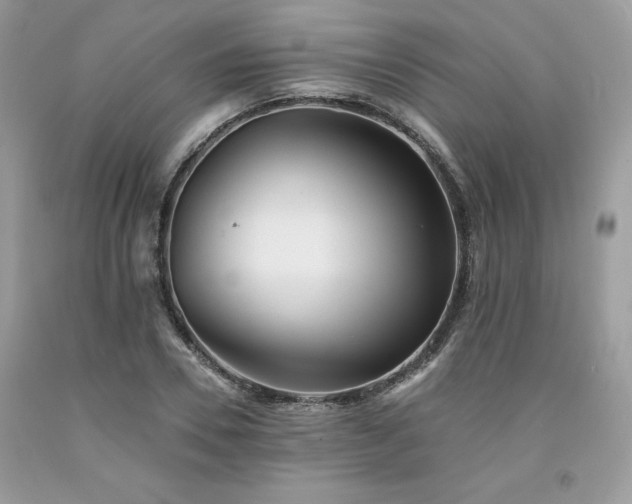 X0000094170930200710261105