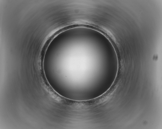 X0000094170931200710261105
