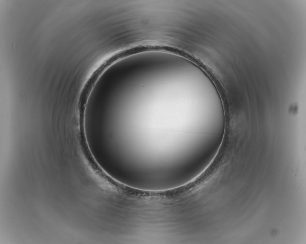X0000094170934200710261106
