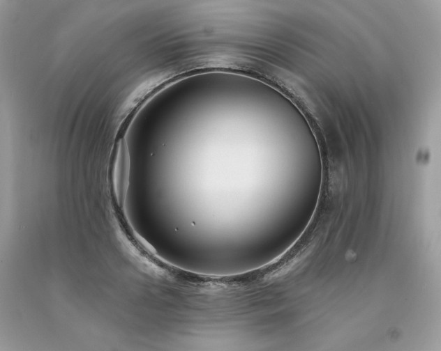X0000094170938200710261106