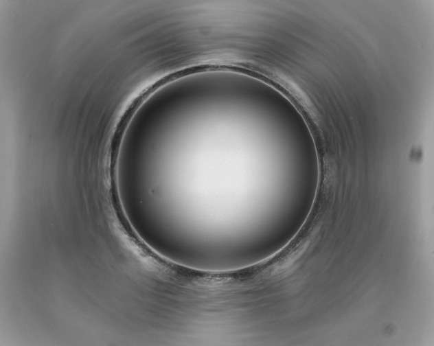 X0000094170939200710261106
