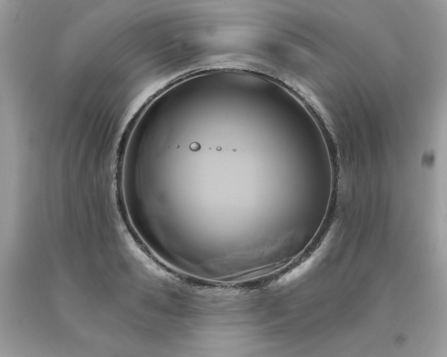 X0000094170941200710261106