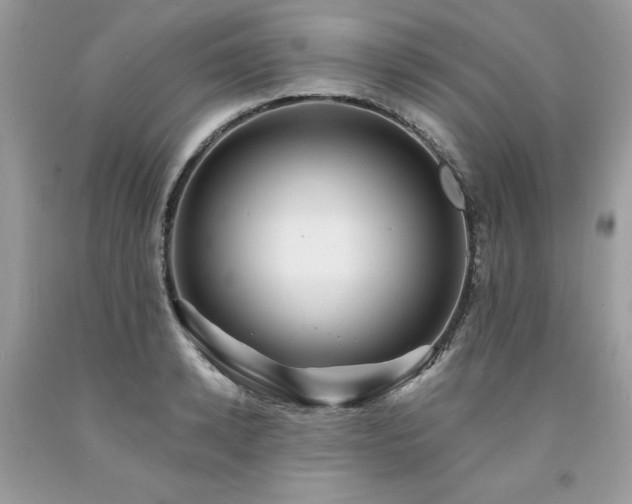 X0000094170942200710261106