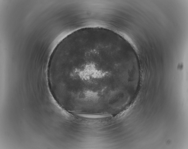 X0000094170943200710261106