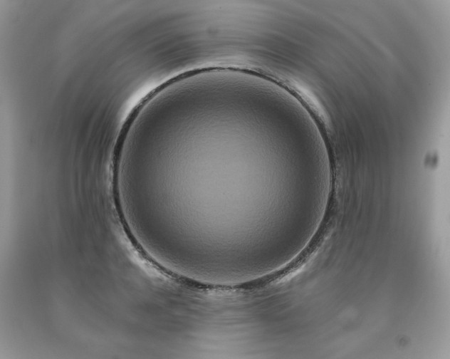 X0000094170944200710261106
