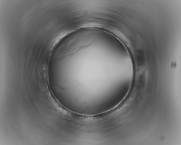 X0000094170945200710261106