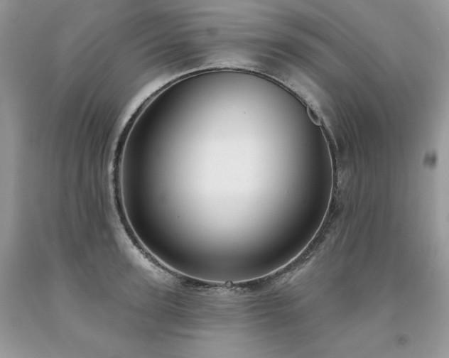 X0000094170947200710261106