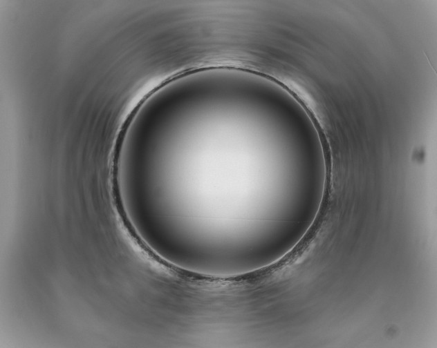 X0000094170949200710261106