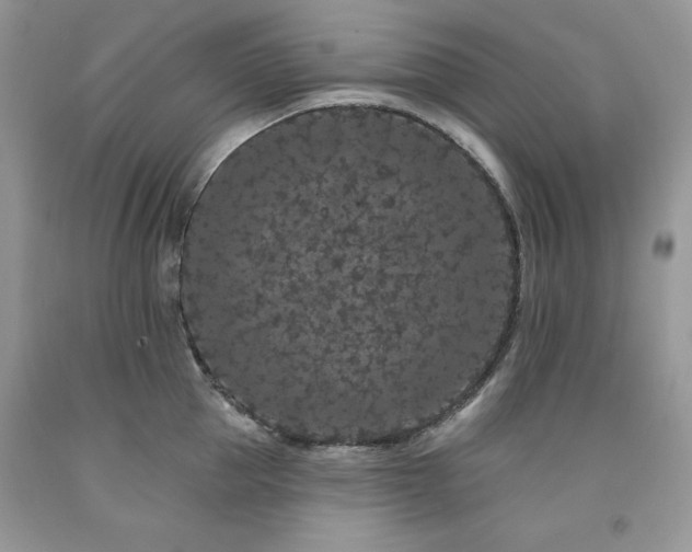 X0000094170953200710261106