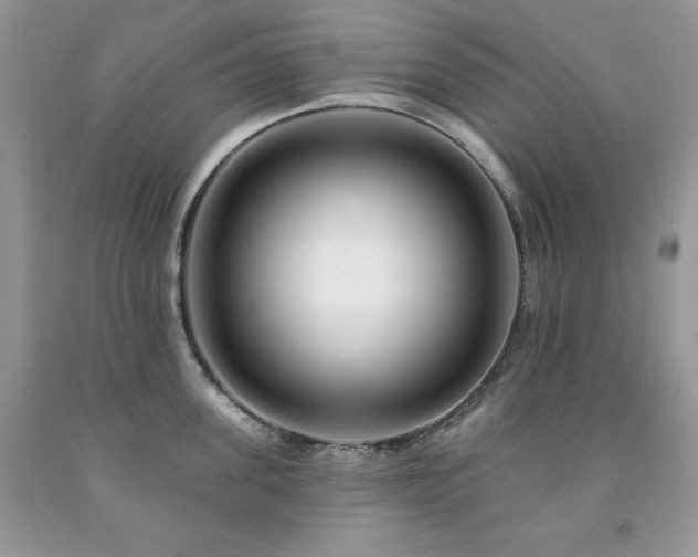 X0000094170955200710261106
