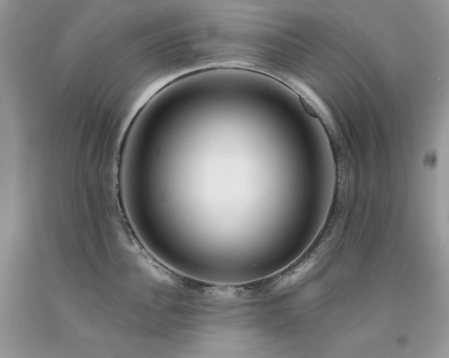 X0000094170956200710261106