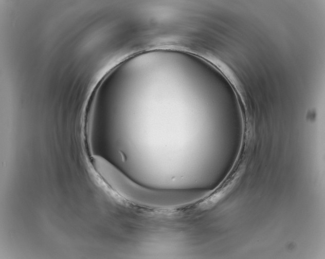X0000094170957200710261106