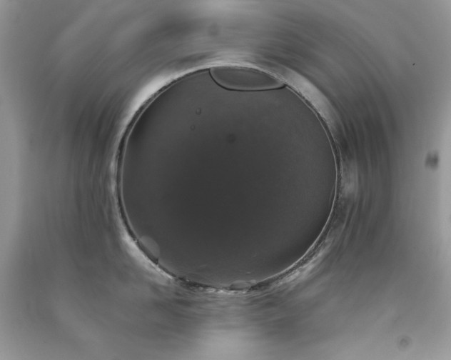 X0000094170958200710261106
