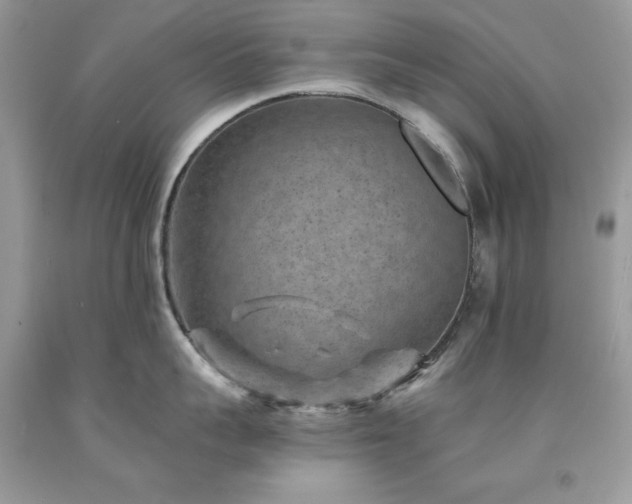 X0000094170959200710261106