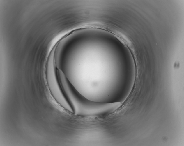 X0000094170960200710261106