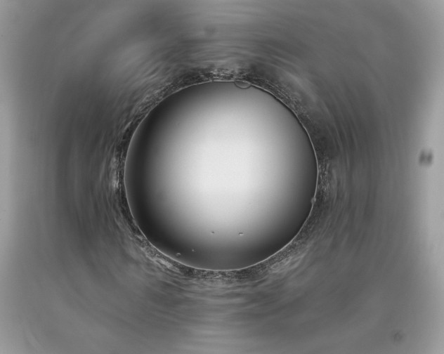 X0000094170962200710261105