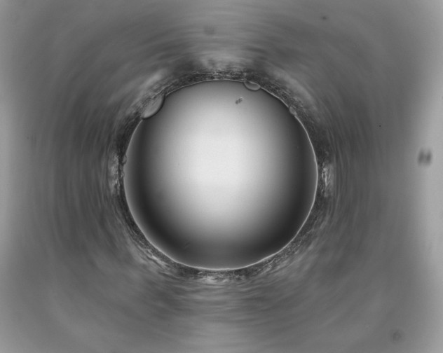 X0000094170963200710261105