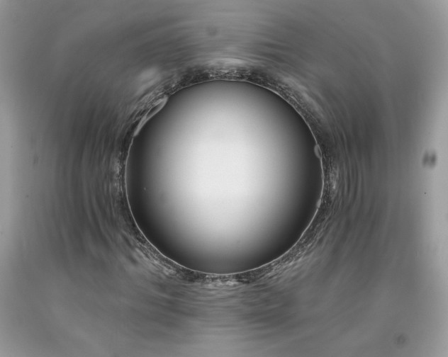 X0000094170964200710261105